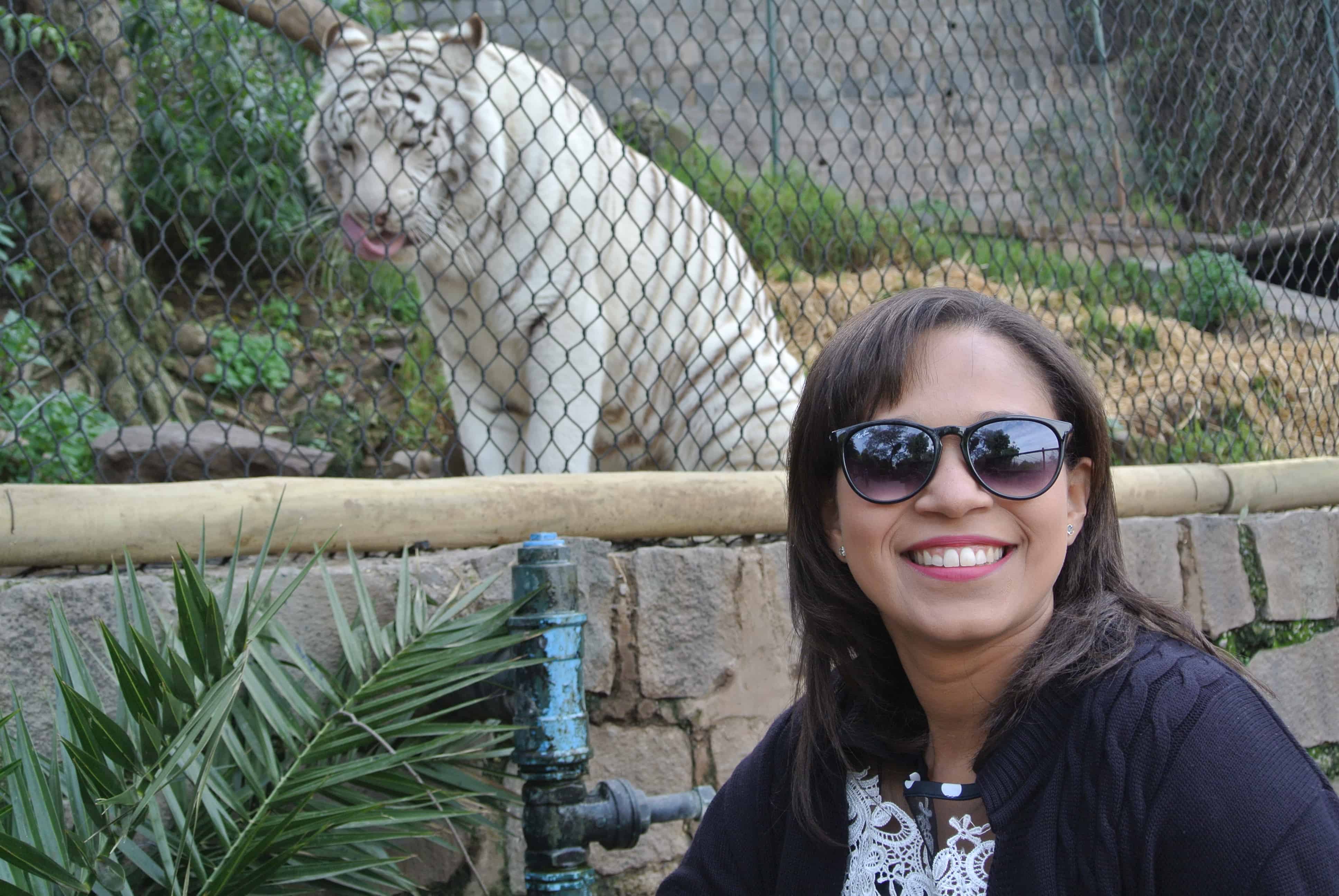 Zoológico de Santiago - Tigre Branco