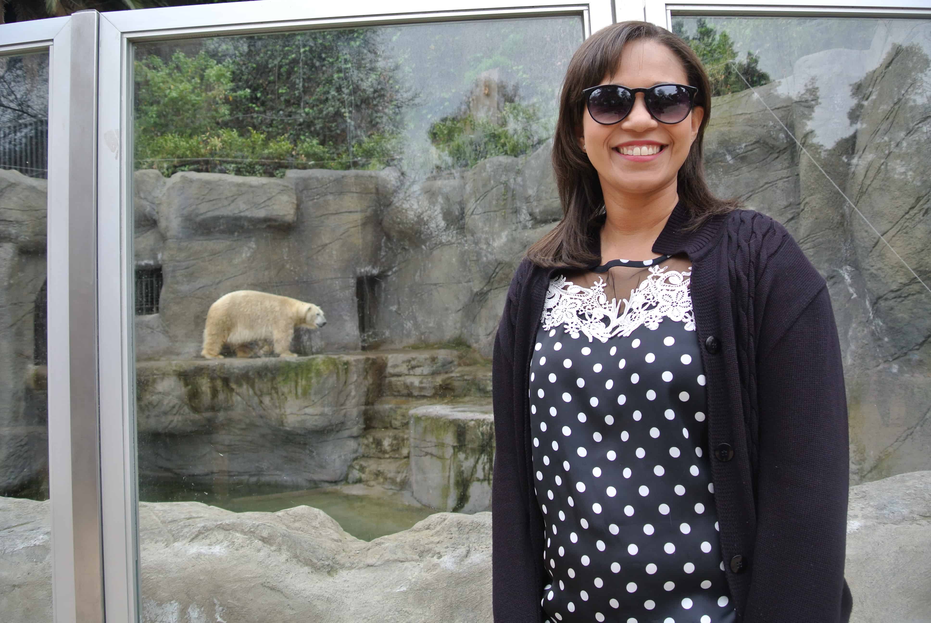 Zoológico de Santiago - Urso Polar