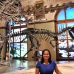 Ossada de Dinossauros - Museu de História Natural em Viena