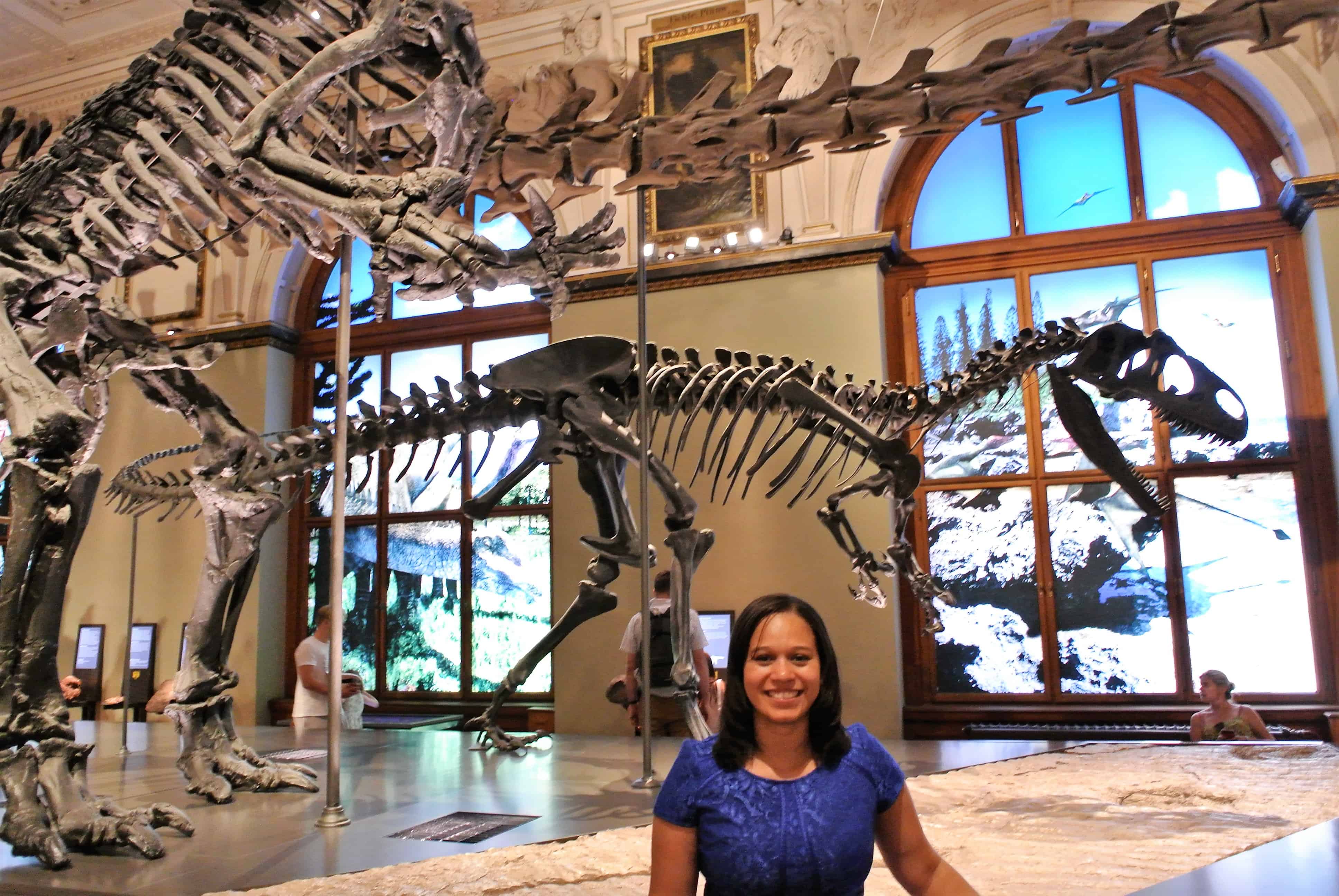 Ossada de Dinossauros - Museu de História Natural em Viena