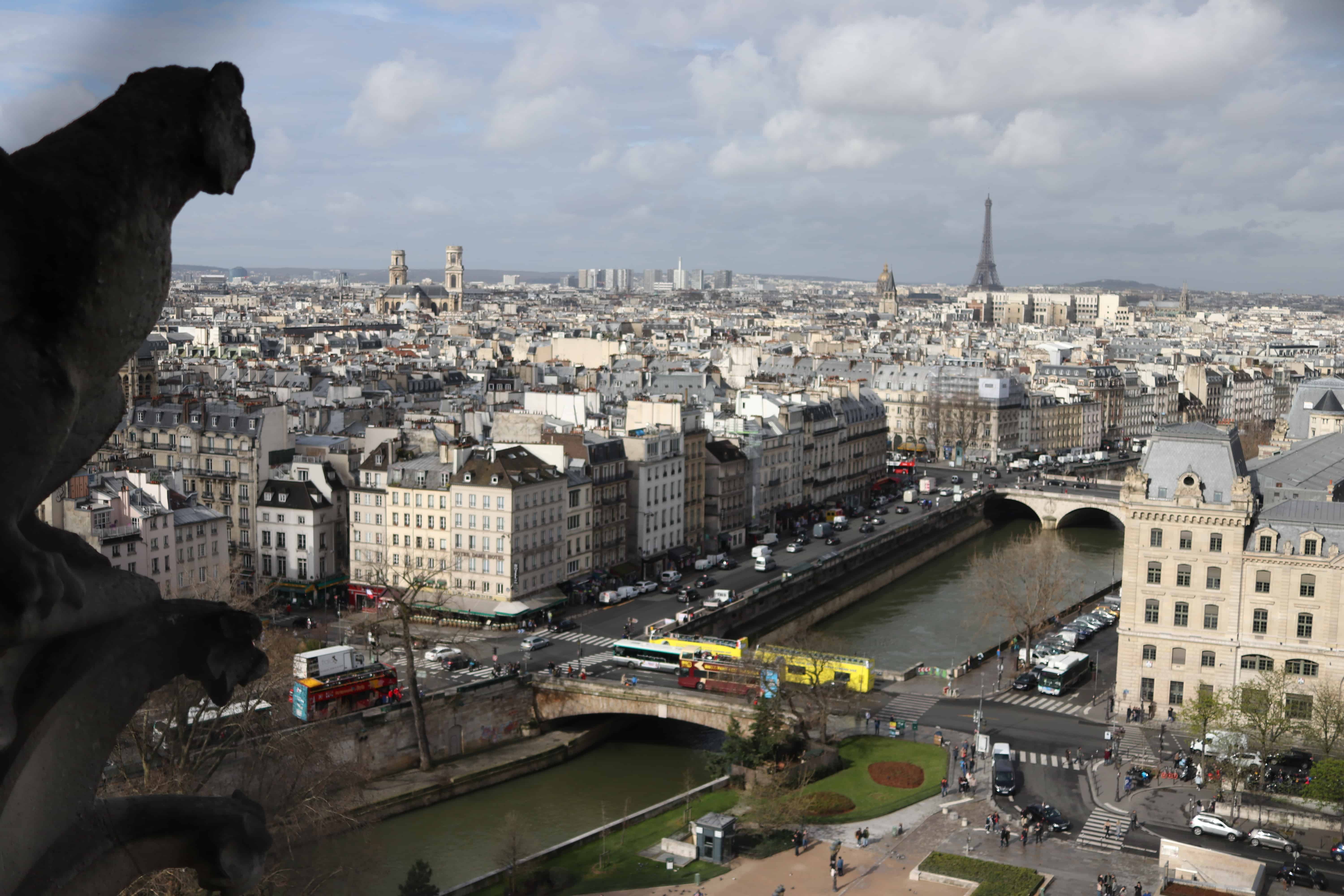 Vista do topo das torres de Notre Dame