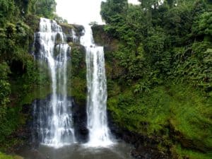 Natureza exuberante em Laos